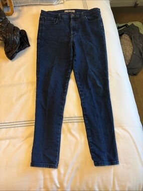 Joe's Jeans Women's Skinny Dark Blue Denim Jeans